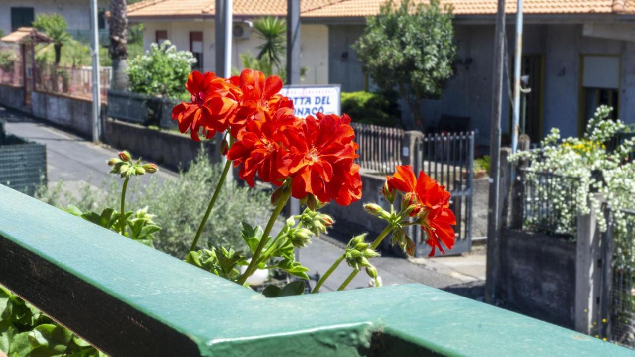 Grotta Del Monaco Bed & Breakfast Pedara Exterior photo